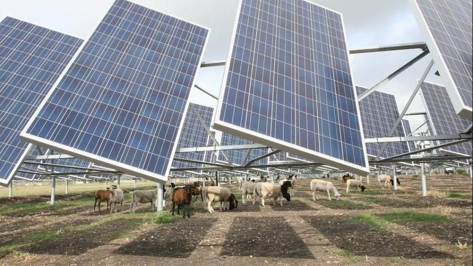 Mission Solar Energy, LLC. Solar Farm;