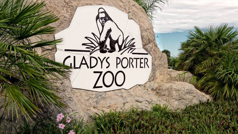 Gladys Porter Zoo