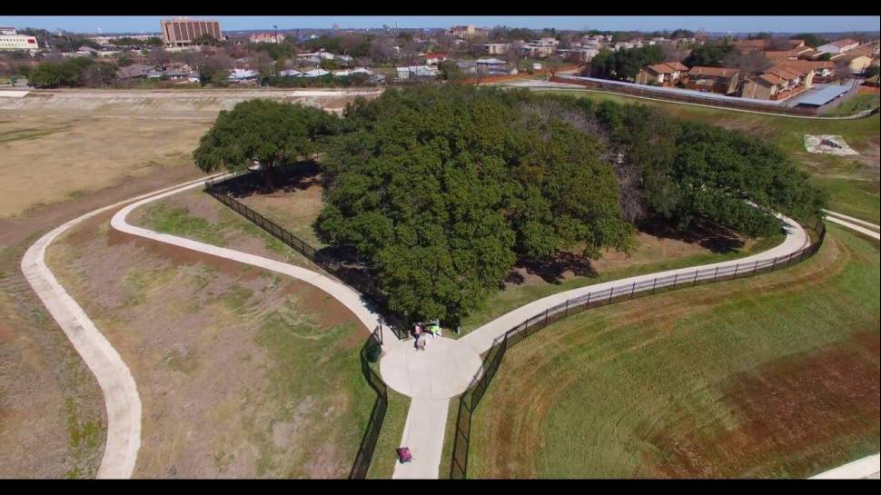 Laddie Place Regional Storm Water Facility