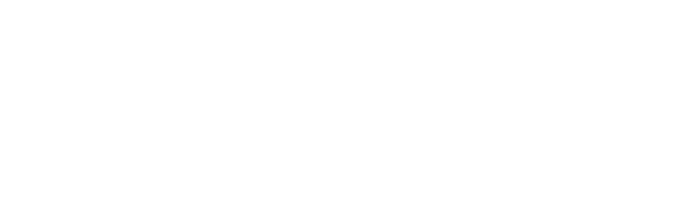 Raba Kistner